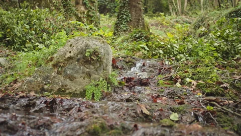 Water Stream Stock Footage 145215818