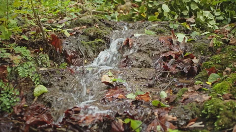 Water Stream Stock Footage 145217918