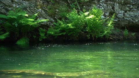Water Stream Video stock 147216818