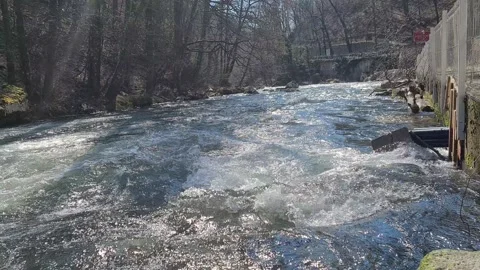 Water Stream Video stock 150315232