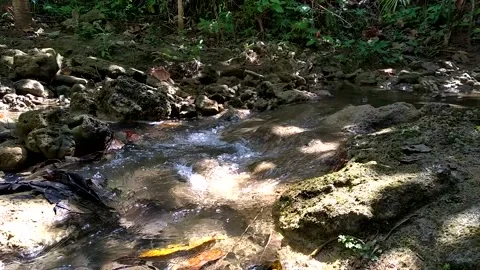 Water Stream Stock Footage 152360485