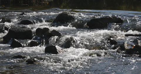 Water stream Stock Footage 164194402
