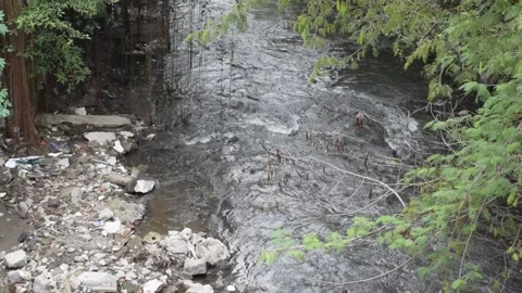 Water Stream Stock-Footage 237157385