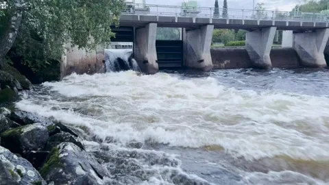 The Water Stream Stock Footage 250280356
