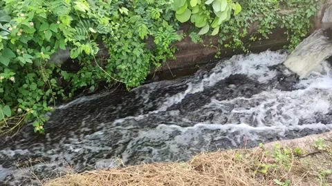 Water stream Video stock 251163130