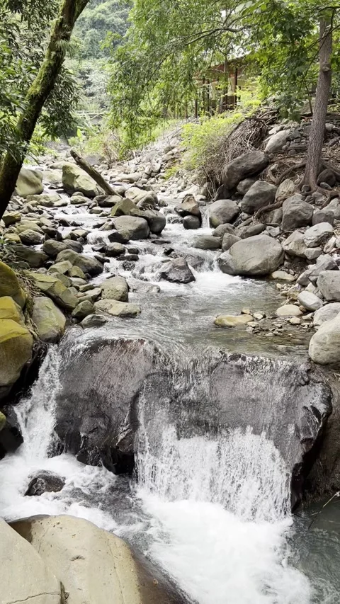 Water Stream 库存影片 253611600