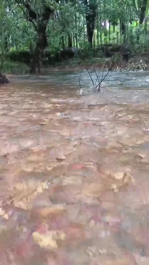 Water stream Video stock 314494205