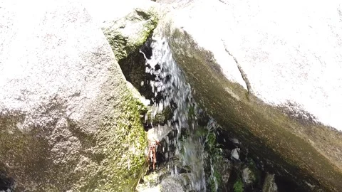 Water stream in forest. 6 Stock Footage 133615619