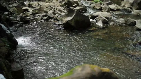 Water stream in the forest cascade fresh green landscape nature river mountains Stock Footage 99371068