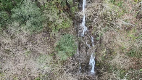Water stream forest drone Video stock 264011669
