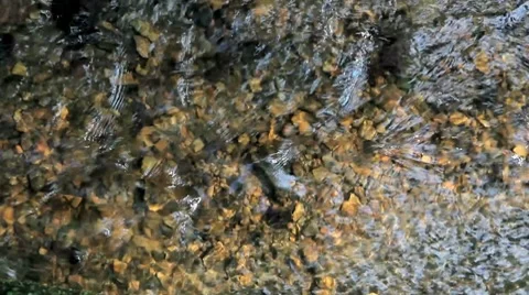 Water stream in the forest Stock Footage 8692875