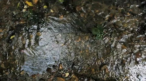 Water stream in the forest Stock Footage 8693543