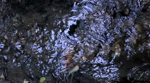 Water stream in the forest Stock Footage 8694044