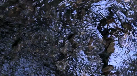 Water stream in the forest Stock Footage 8694205