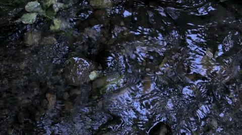 Water stream in the forest Stock Footage 8694582