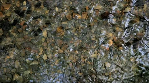 Water stream in the forest Stock Footage 8695749