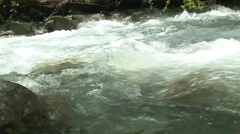 Water stream in a forest Video stock 10739543