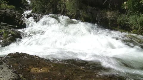 Water stream in a forest Video stock 10744094