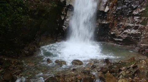 Water stream in the forest Stock Footage 58954759