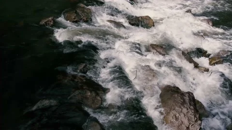 Water stream in the forest Video stock 135533276