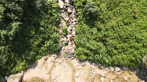 Water stream forest Stock Footage 240773991