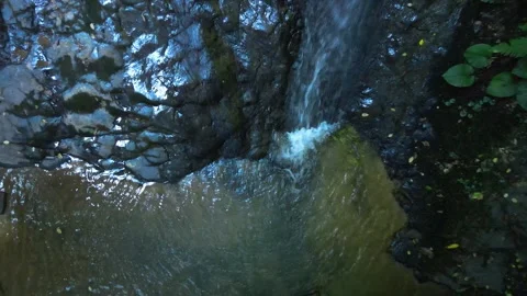 Water stream forest Stock Footage 240780350