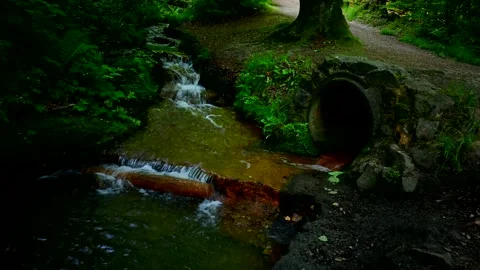 Water Stream in Forest with good Stream Sound Stock Footage 248538457