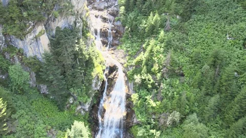 Water stream forest nature Stock Footage 240775003