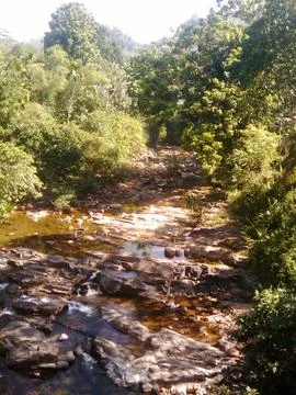 Water stream in the forest Stock Photos