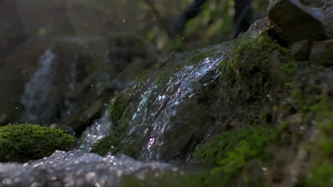 Water stream in forest with small waterfall Video stock 233877641