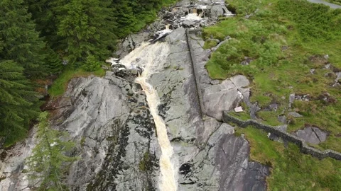 Water stream in forest.7 Stock Footage 133615765