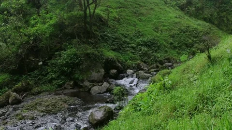 Water stream going down the hill Stock Footage 163982020