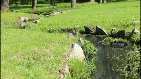 Water stream, green grass 库存影片 304367748