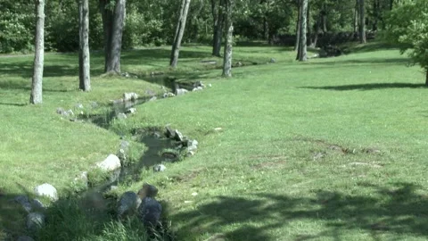 Water stream, green grass, trees 库存影片 304367852