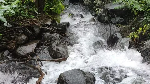 Water stream high view beautiful nature Stock Footage 134786829