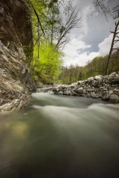 Water stream in lagodechi park Stock Photos