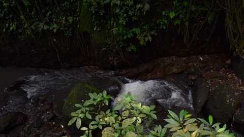 Water Stream at Monkey Forrest Stock Footage 96235440