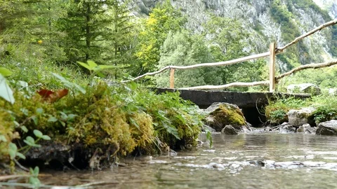 Water stream in mountain forest, Stock Footage 109422686