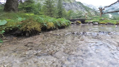 Water stream in mountain forest, wide angle view, UHD Stock Footage 109422816