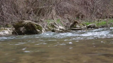 Water stream of the mountain river. Clear stream of water flows with splashes Stock Footage 153507111