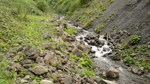 Water stream in mountains flows between rocky hills in summer Stock Footage 55017983