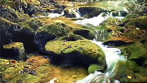 Water Stream in Natural Environment Stock Photos