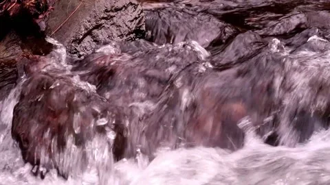 Water stream in nature Stock Footage 166502439
