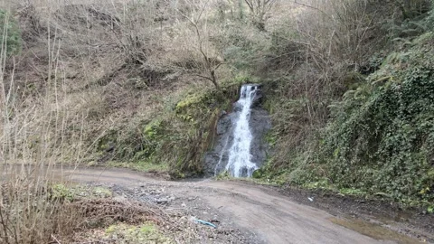 Water stream nature Stock Footage 264015764