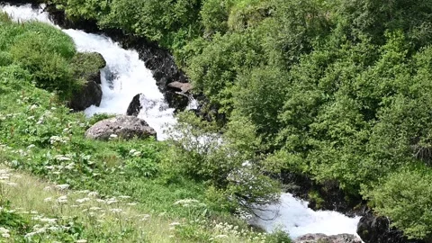 Water stream or river down the canyon Stock Footage 248380707