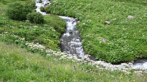 Water stream or river down the canyon Stock Footage 248380711