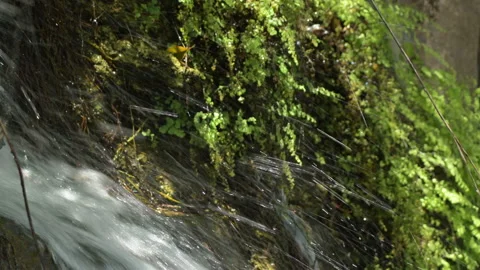 Water stream outing with force in the mo... | Stock Video | Pond5