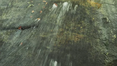 Water stream over rock surface. Loop. Stock Footage 332628716