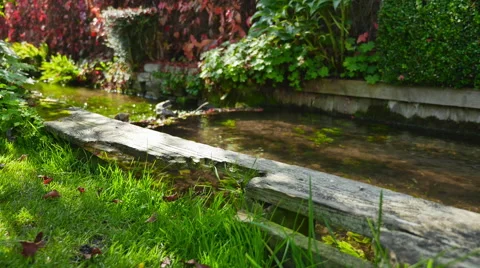 Water stream in a park 스톡 동영상 43261612