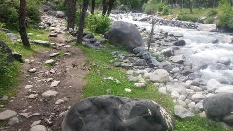 A water stream passing through a forest in Ghizer Valley of Pakistan Stock Photos